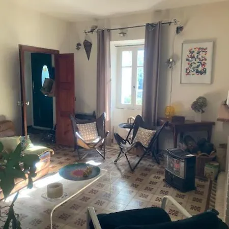 Les Rosiers - Hellebore