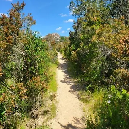 Bed & Breakfast Les Rosiers - Hellebore