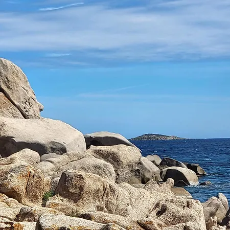 Les Rosiers - Hellebore