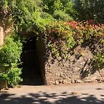 Bed & Breakfast Les Rosiers - Hellebore Conca