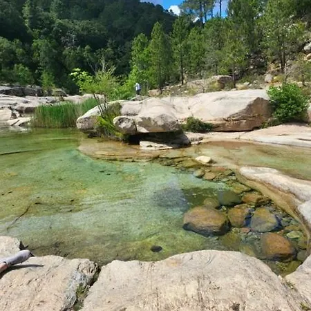 Les Rosiers - Hellebore Frühstückspension