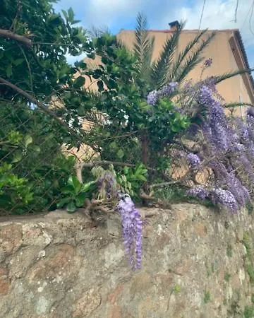 - Les Rosiers - Corse - Hellébore Bed & Breakfast Conca