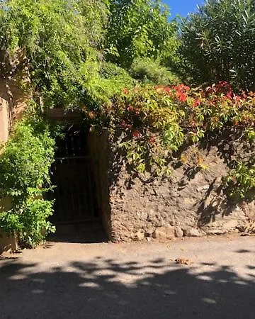 Bed & Breakfast - Les Rosiers - Corse - Hellébore Conca