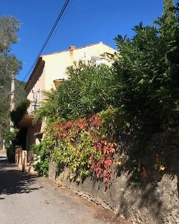 - Les Rosiers - Corse - Hellébore * Conca