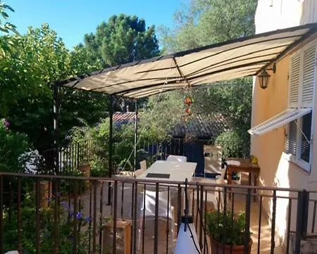 Les Rosiers - Hellebore