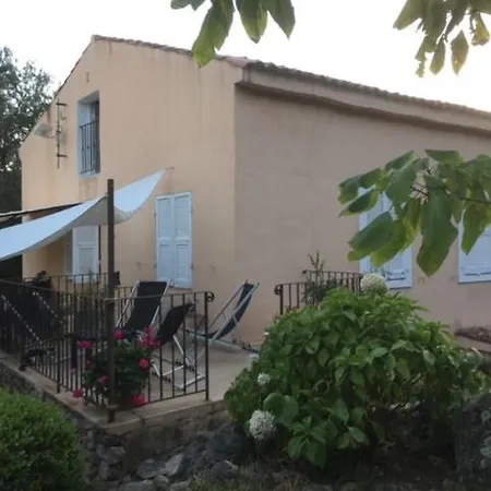 - Les Rosiers - Corse - Hellébore