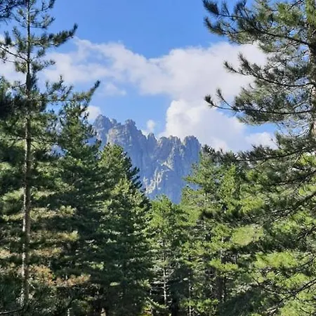 Les Rosiers - Hellebore Frühstückspension