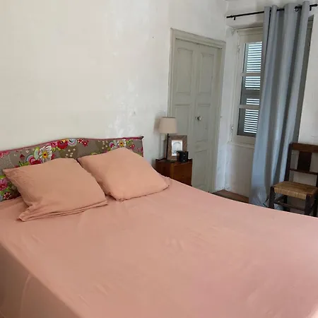 - Les Rosiers - Corse - Hellebore Conca