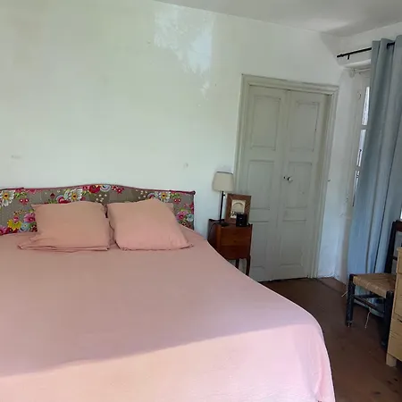 Les Rosiers - Hellebore * Conca