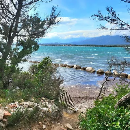 - Les Rosiers - Corse - Hellébore Conca