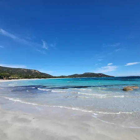 Frühstückspension Les Rosiers - Hellebore