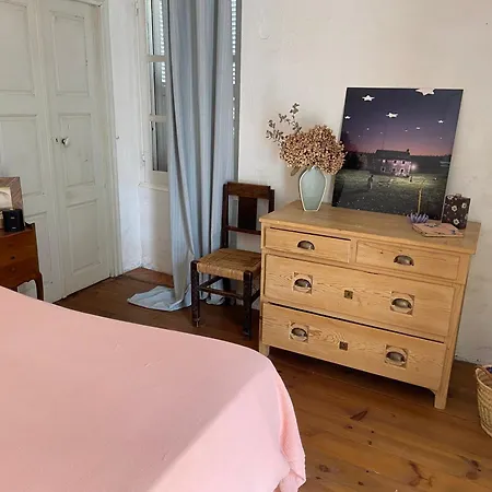 Les Rosiers - Hellebore *