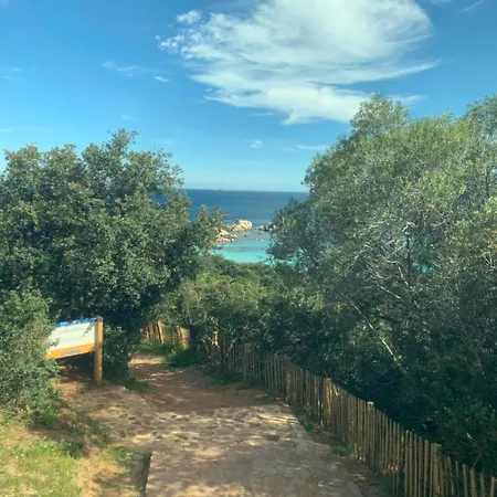 Bed & Breakfast - Les Rosiers - Corse - Hellébore