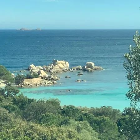 - Les Rosiers - Corse - Hellébore