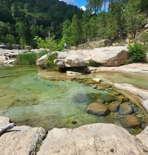 Les Rosiers - Hellebore Bed & Breakfast