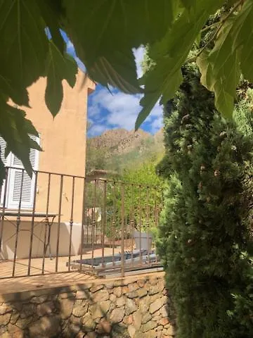 Bed & Breakfast Les Rosiers - Hellebore