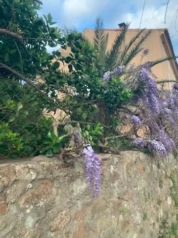 Les Rosiers - Hellebore Bed & Breakfast Conca