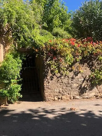 Bed & Breakfast Les Rosiers - Hellebore Conca