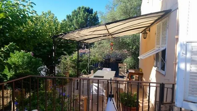 Les Rosiers - Hellebore