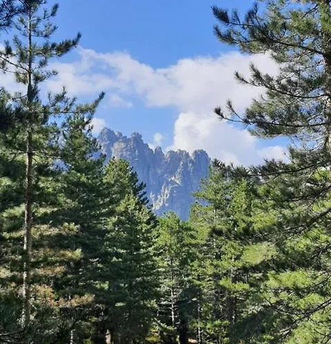 Les Rosiers - Hellebore Bed & Breakfast