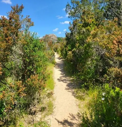 Bed & Breakfast Les Rosiers - Hellebore