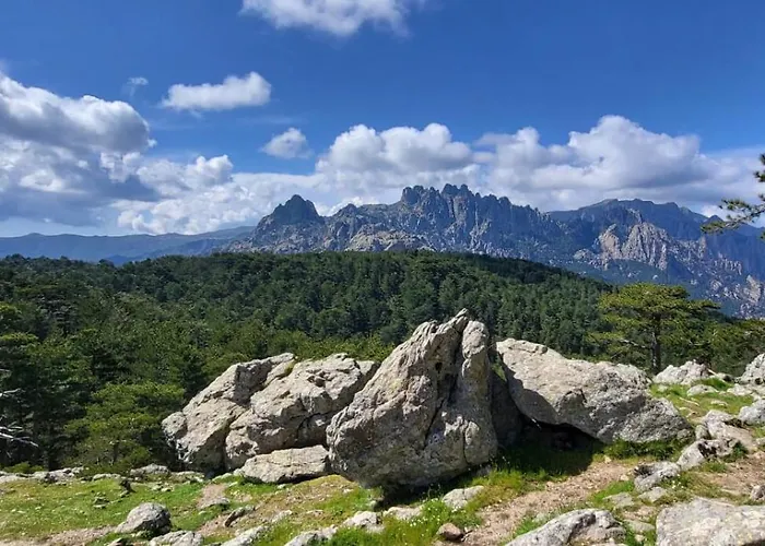 Les Rosiers - Hellebore