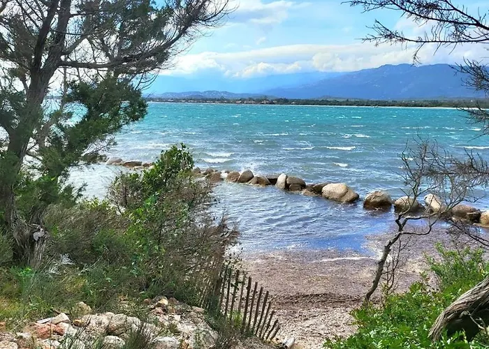 Les Rosiers - Hellebore Conca