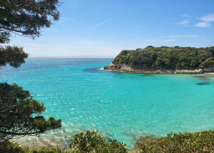 Bed & Breakfast Les Rosiers - Hellebore Conca