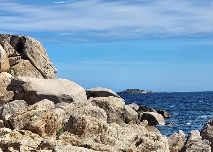 Les Rosiers - Hellebore