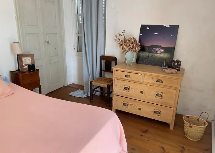 Les Rosiers - Hellebore *