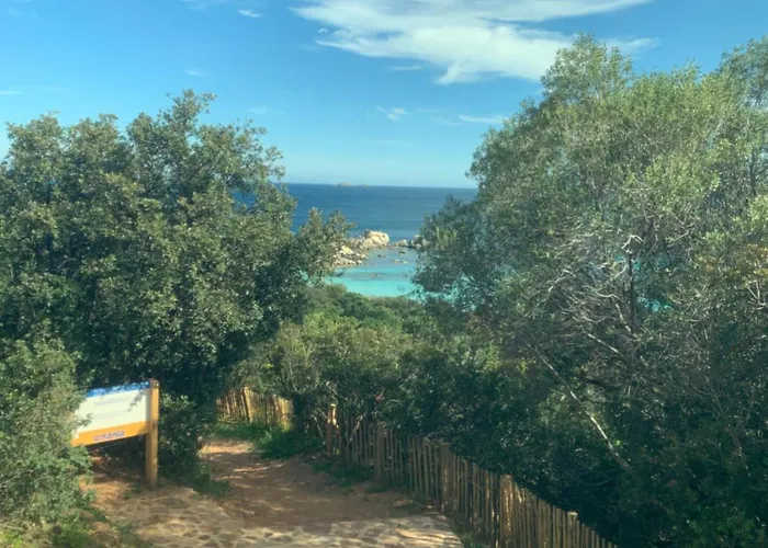 Bed & Breakfast Les Rosiers - Hellebore