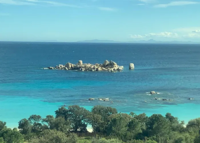 Bed & Breakfast Les Rosiers - Hellebore Conca