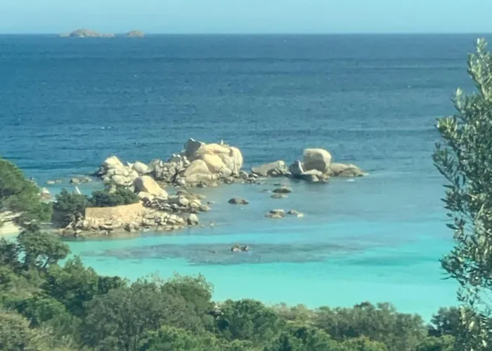 Les Rosiers - Hellebore